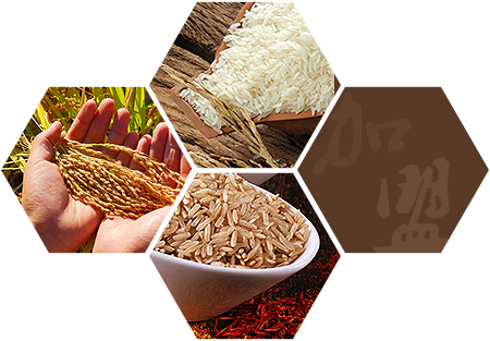 千赢国际qy88登录